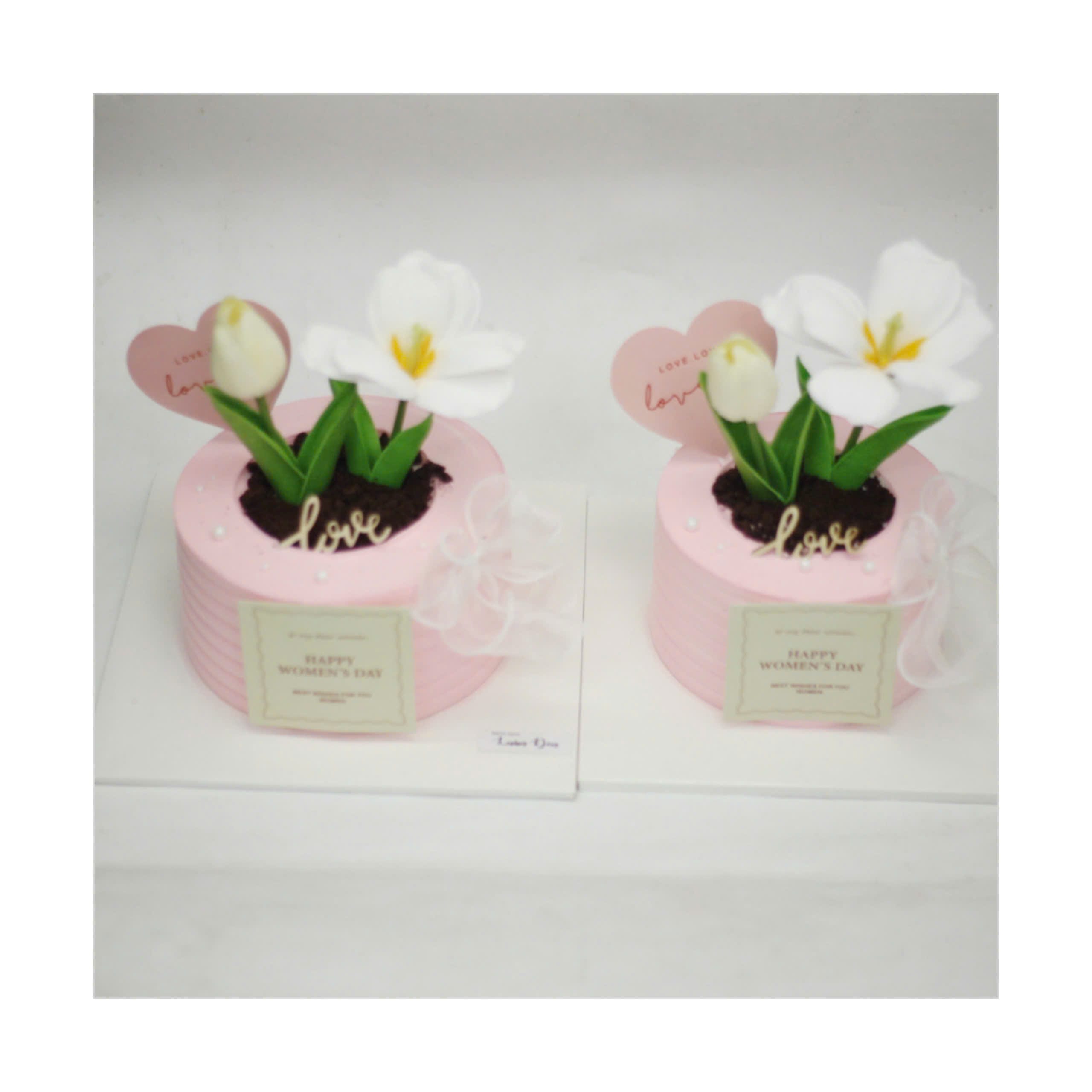 Bánh chậu hoa Tulip trắng xinh xắn