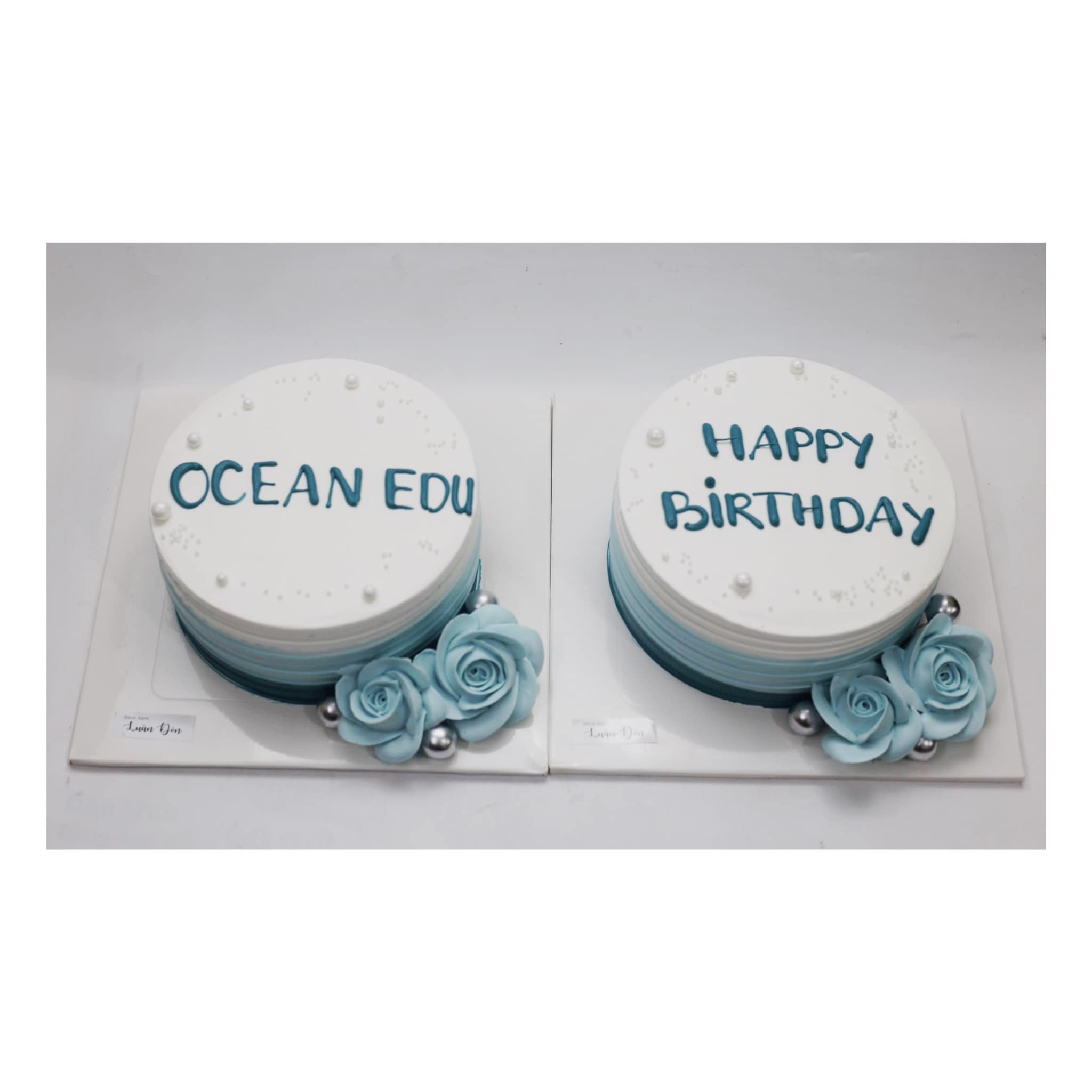 Cặp bánh kem Ocean Edu xanh dương
